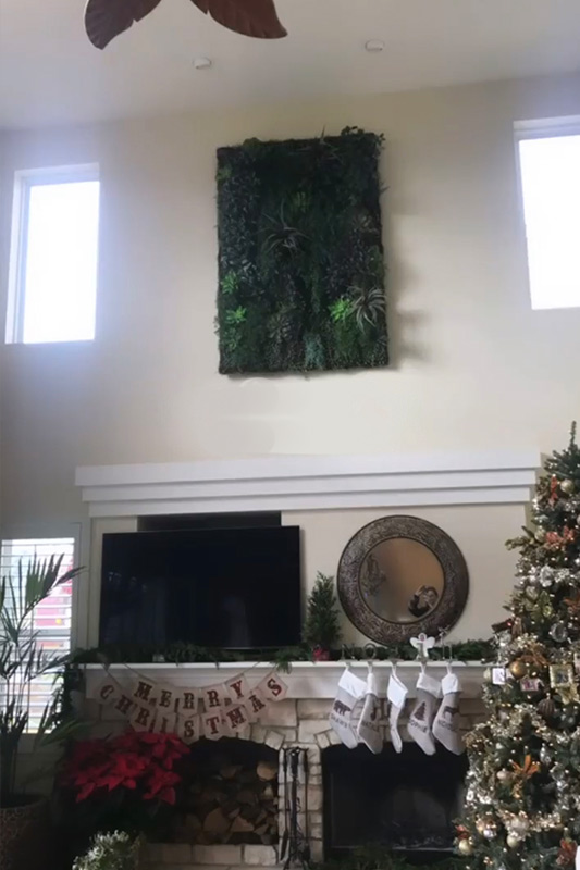 Cary Fireplace Before Cary Fireplace Before